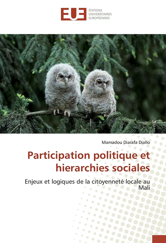 Participation politique et hierarchies sociales: Enjeux et logiques de la citoyenneté locale au Mali (Omn.Univ.Europ.)
