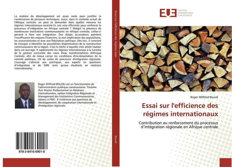 Essai sur l'efficience des régimes internationaux: Contribution au renforcement du processus d’intégration régionale en Afrique centrale