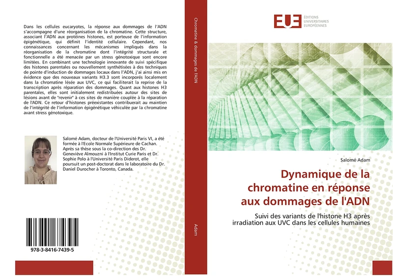 Dynamique de la chromatine en réponse aux dommages de l'ADN: Suivi des variants de l'histone H3 après irradiation aux UVC dans les cellules humaines
