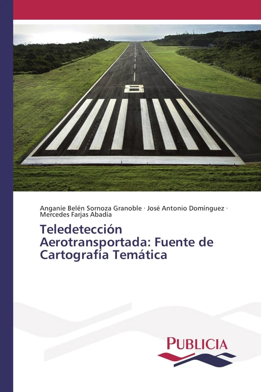 Teledetección Aerotransportada: Fuente de Cartografía Temática - Image 1