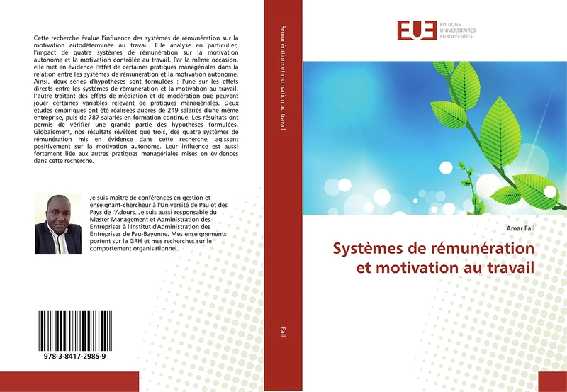 Systèmes de rémunération et motivation au travail - Image 1