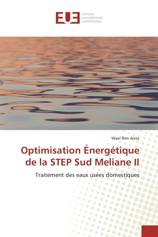 Optimisation Énergétique de la STEP Sud Meliane II: Traitement des eaux usées domestiques - Image 1
