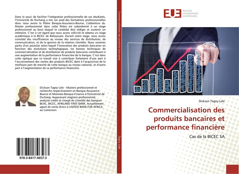 Commercialisation des produits bancaires et performance financière: Cas de la BICEC SA - Image 1