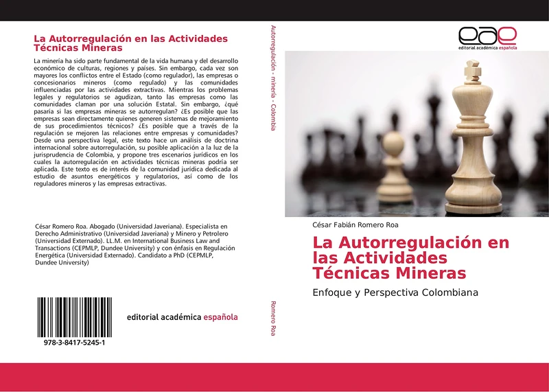 La Autorregulación en las Actividades Técnicas Mineras: Enfoque y Perspectiva Colombiana