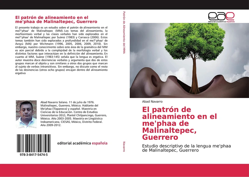 El patrón de alineamiento en el me'phaa de Malinaltepec, Guerrero: Estudio descriptivo de la lengua me'phaa de Malinaltepec, Guerrero