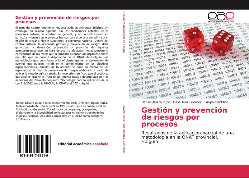 Gestión y prevención de riesgos por procesos: Resultados de la aplicación parcial de una metodología en la ONAT provincial, Holguín