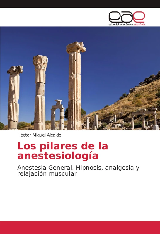 Los pilares de la anestesiología: Anestesia General. Hipnosis, analgesia y relajación muscular - Image 1