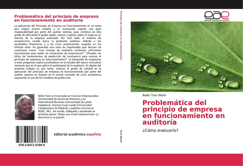 Problemática del principio de empresa en funcionamiento en auditoría: ¿Cómo evaluarlo? - Image 1