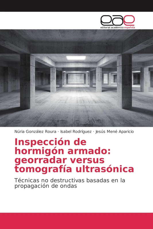 Inspección de hormigón armado: georradar versus tomografía ultrasónica: Técnicas no destructivas basadas en la propagación de ondas