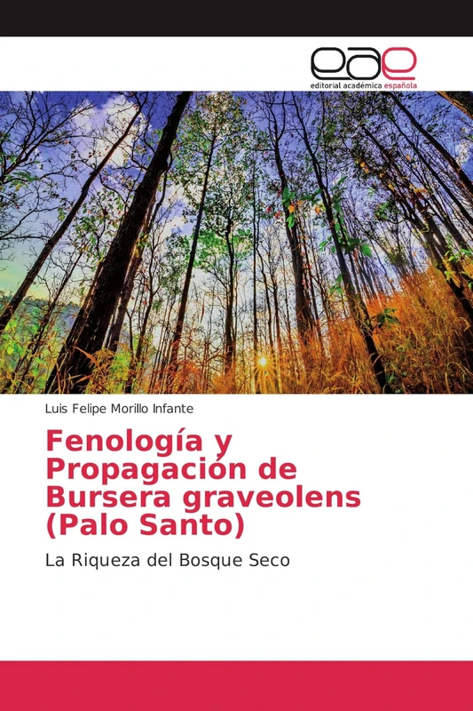 Fenología y Propagación de Bursera graveolens (Palo Santo): La Riqueza del Bosque Seco - Image 1