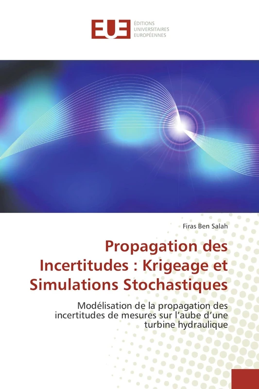 Propagation des Incertitudes : Krigeage et Simulations Stochastiques: Modélisation de la propagation des incertitudes de mesures sur l’aube d’une turbine hydraulique - Image 1