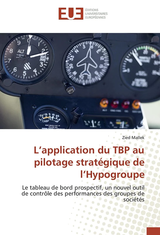 L’application du TBP au pilotage stratégique de l’Hypogroupe: Le tableau de bord prospectif, un nouvel outil de contrôle des performances des groupes de sociétés