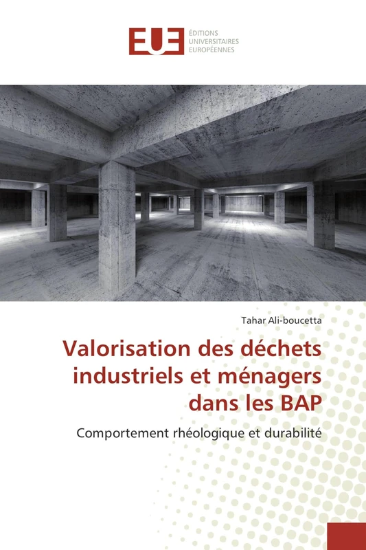 Valorisation des déchets industriels et ménagers dans les BAP: Comportement rhéologique et durabilité