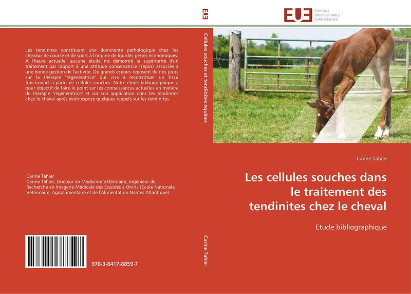 Les cellules souches dans le traitement des tendinites chez le cheval: Etude bibliographique (Omn.Univ.Europ.) - Image 1