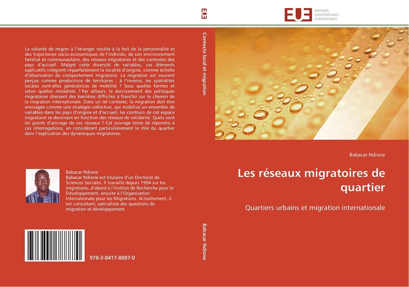 Les réseaux migratoires de quartier: Quartiers urbains et migration internationale (Omn.Univ.Europ.)