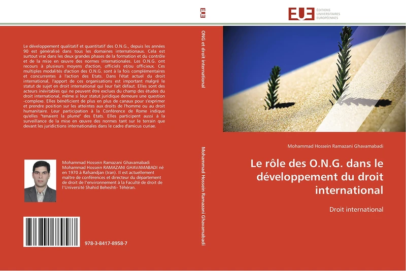 Le rôle des O.N.G. dans le développement du droit international: Droit international (Omn.Univ.Europ.)