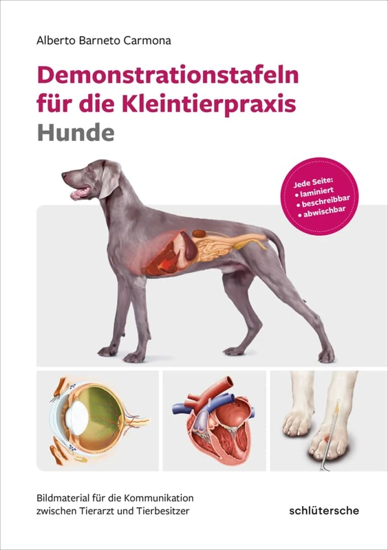 Demonstrationstafeln für die Kleintierpraxis Hunde: Bildmaterial für die Kommunikation zwischen Tierarzt und Tierbesitzer. Jede Seite: laminiert, beschreibbar, abwischbar
