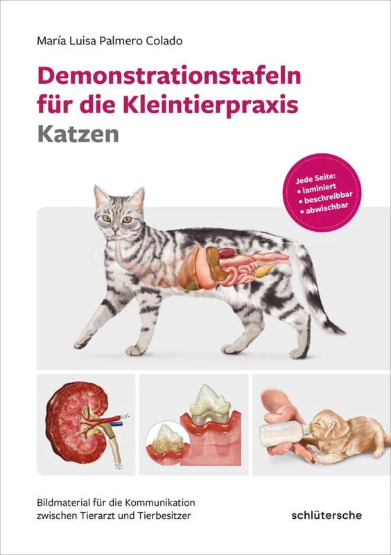 Demonstrationstafeln für die Kleintierpraxis Katzen: Bildmaterial für die Kommunikation zwischen Tierarzt und Tierbesitzer. Jede Seite: laminiert, beschreibbar, abwischbar