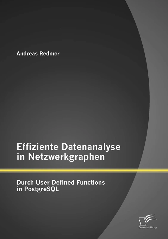 Effiziente Datenanalyse in Netzwerkgraphen: Durch User Defined Functions in PostgreSQL