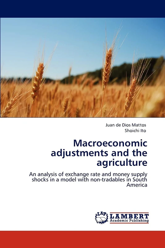 Macroeconomic adjustments and the agriculture: An analysis of exchange rate and money supply shocks in a model with non-tradables in South America