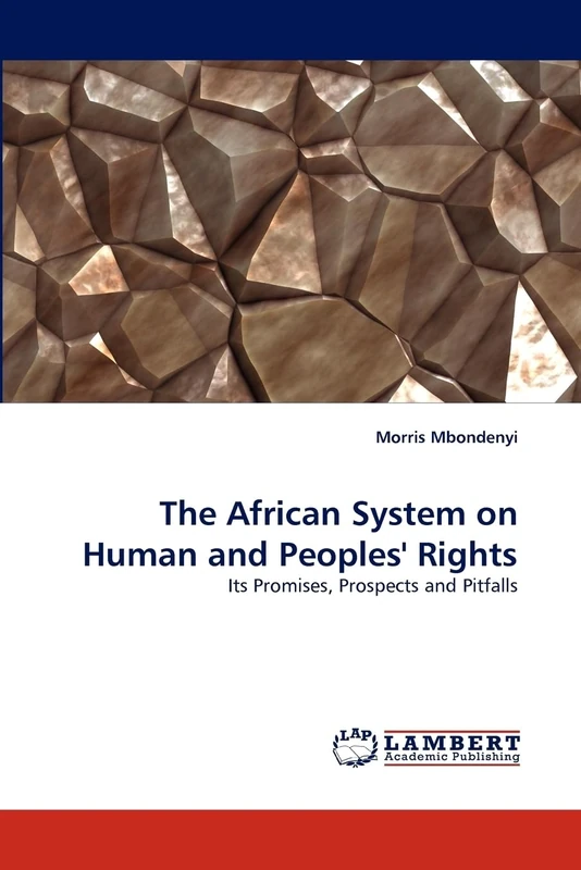 The African System on Human and Peoples' Rights: Its Promises, Prospects and Pitfalls