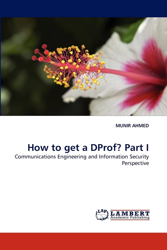 How to get a DProf? Part I: Communications Engineering and Information Security Perspective - Image 1