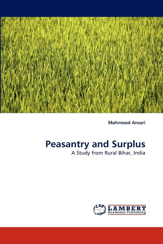 Peasantry and Surplus: A Study from Rural Bihar, India