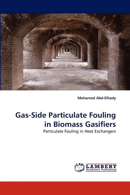 Gas-Side Particulate Fouling in Biomass Gasifiers: Particulate Fouling in Heat Exchangers