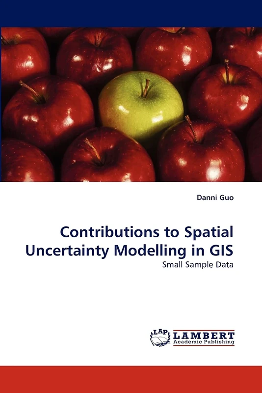 Contributions to Spatial Uncertainty Modelling in GIS: Small Sample Data - Image 1