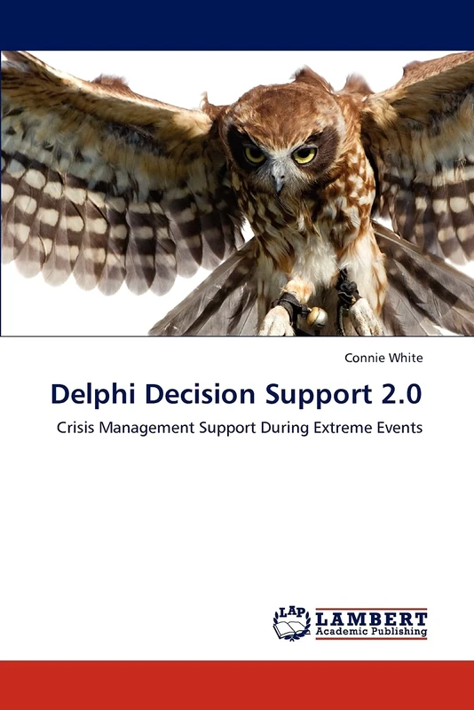 Delphi Decision Support 2.0: Crisis Management Support During Extreme Events - Image 1