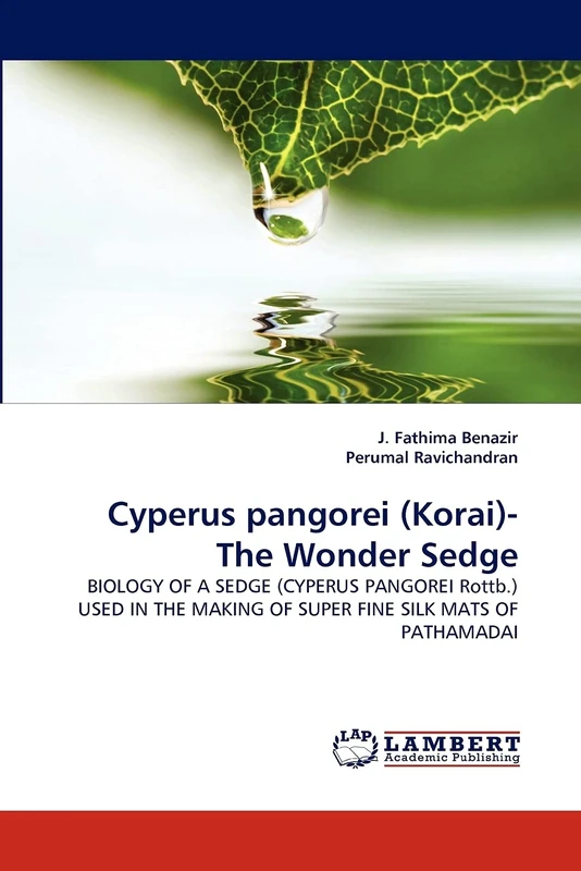 Cyperus pangorei (Korai)- The Wonder Sedge: BIOLOGY OF A SEDGE (CYPERUS PANGOREI Rottb.) USED IN THE MAKING OF SUPER FINE SILK MATS OF PATHAMADAI - Image 1