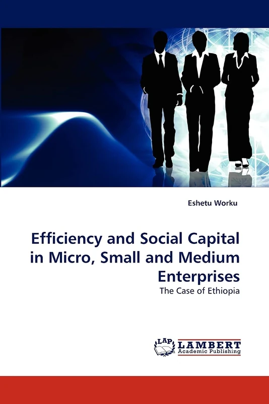 Efficiency and Social Capital in Micro, Small and Medium Enterprises: The Case of Ethiopia