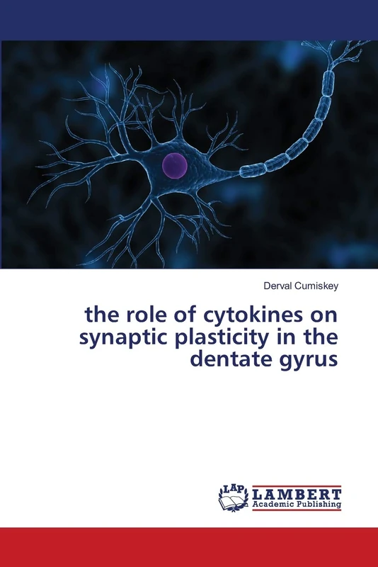 the role of cytokines on synaptic plasticity in the dentate gyrus