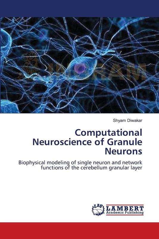 Computational Neuroscience of Granule Neurons: Biophysical modeling of single neuron and network functions of the cerebellum granular layer