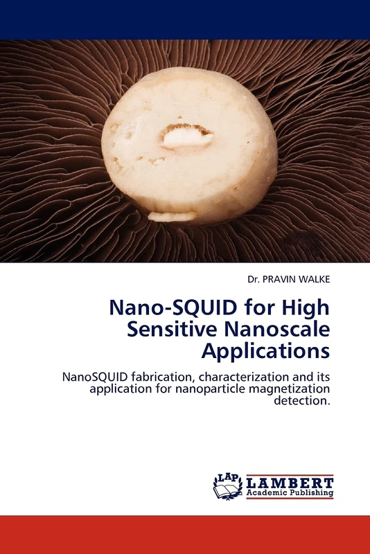 Nano-SQUID for High Sensitive Nanoscale Applications: NanoSQUID fabrication, characterization and its application for nanoparticle magnetization detection