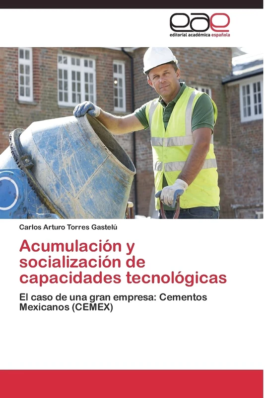 Acumulación y socialización de capacidades tecnológicas: El caso de una gran empresa: Cementos Mexicanos (CEMEX) - Image 1