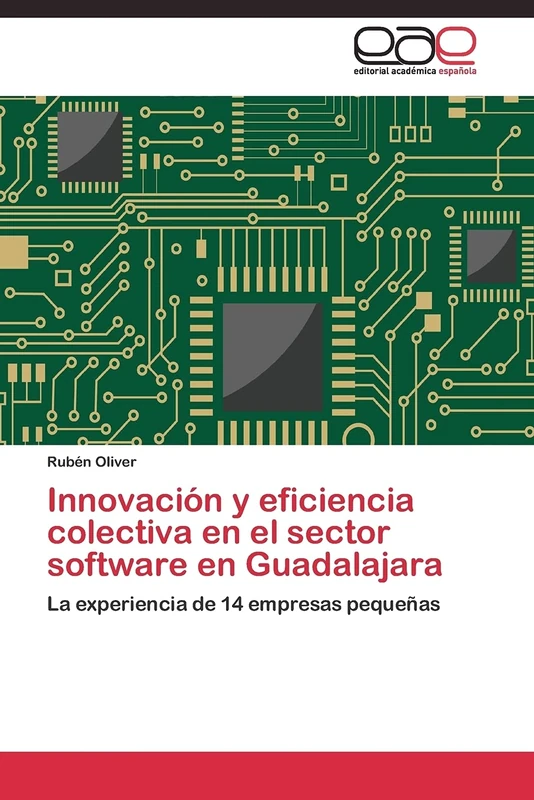 Innovación y eficiencia colectiva en el sector software en Guadalajara: La experiencia de 14 empresas pequeñas