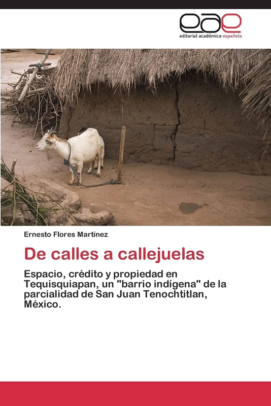 De calles a callejuelas: Espacio, crédito y propiedad en Tequisquiapan, un "barrio indígena" de la parcialidad de San Juan Tenochtitlan, México.