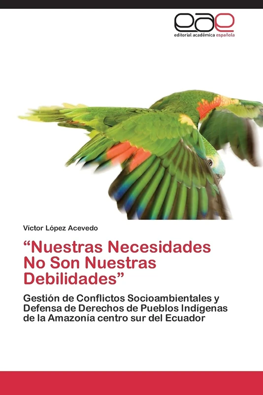 “Nuestras Necesidades No Son Nuestras Debilidades”: Gestión de Conflictos Socioambientales y Defensa de Derechos de Pueblos Indígenas de la Amazonía centro sur del Ecuador