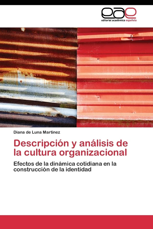 Descripción y análisis de la cultura organizacional: Efectos de la dinámica cotidiana en la construcción de la identidad