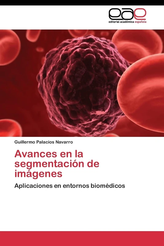 Avances en la segmentación de imágenes: Aplicaciones en entornos biomédicos