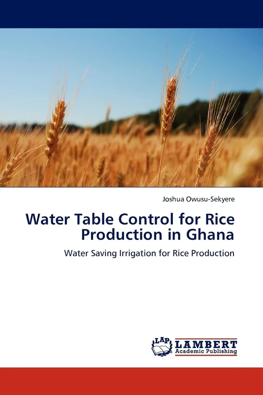 Water Table Control for Rice Production in Ghana: Water Saving Irrigation for Rice Production - Image 1