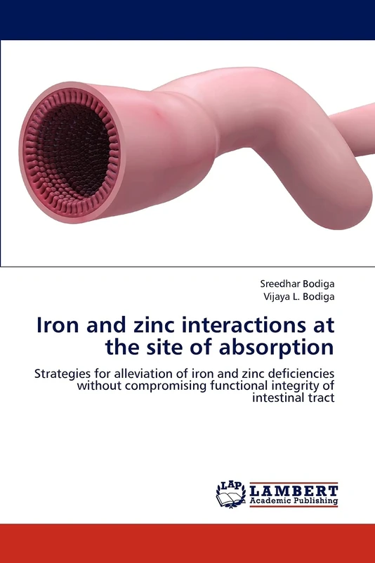 Iron and zinc interactions at the site of absorption: Strategies for alleviation of iron and zinc deficiencies without compromising functional integrity of intestinal tract