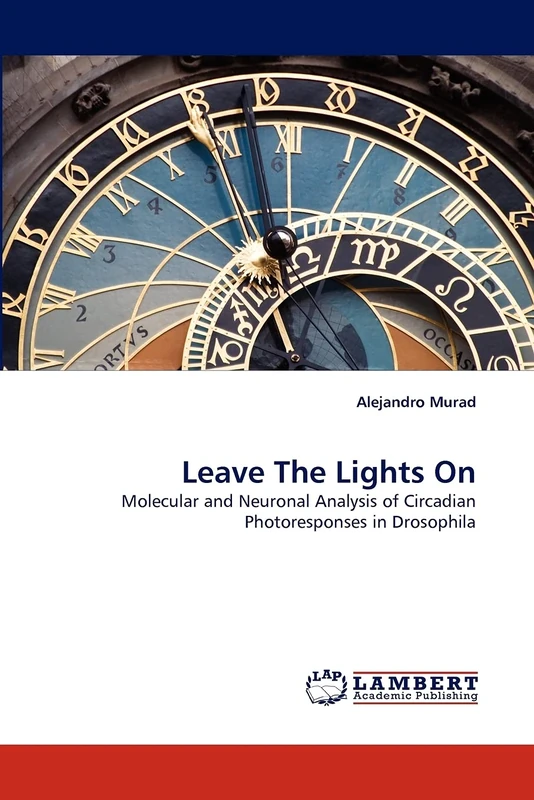 Leave The Lights On: Molecular and Neuronal Analysis of Circadian Photoresponses in Drosophila - Image 1