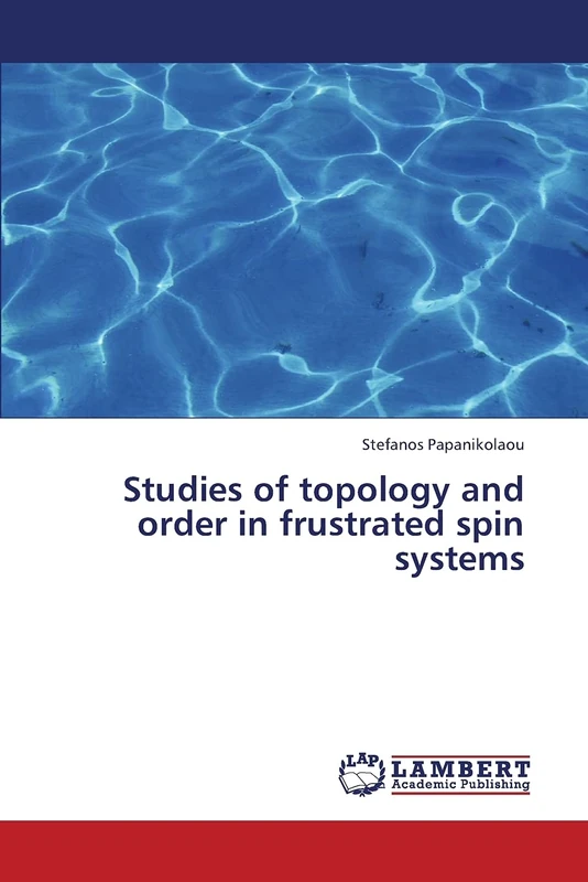 Studies of topology and order in frustrated spin systems