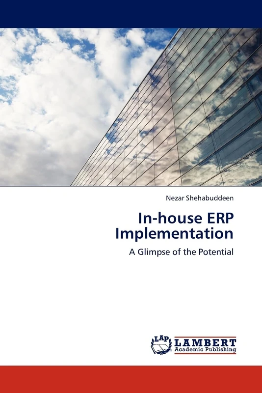 In-house ERP Implementation: A Glimpse of the Potential