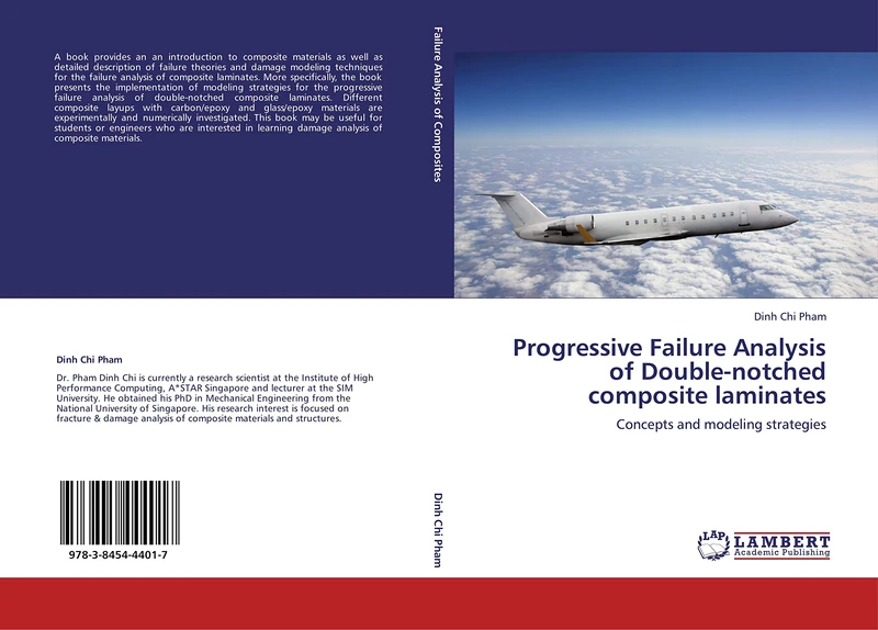 Progressive Failure Analysis of Double-notched composite laminates: Concepts and modeling strategies