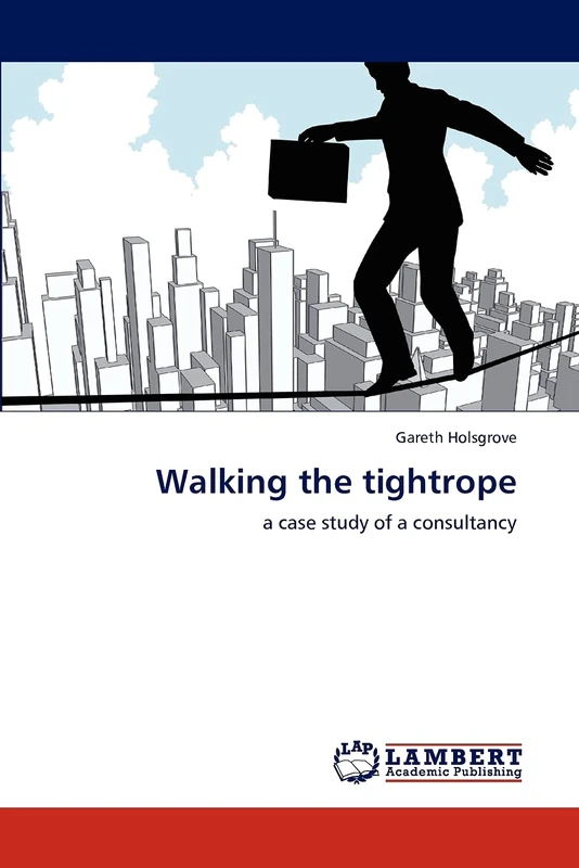 Walking the tightrope: a case study of a consultancy