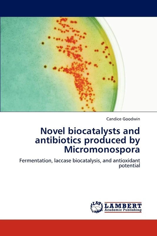 Novel biocatalysts and antibiotics produced by Micromonospora: Fermentation, laccase biocatalysis, and antioxidant potential