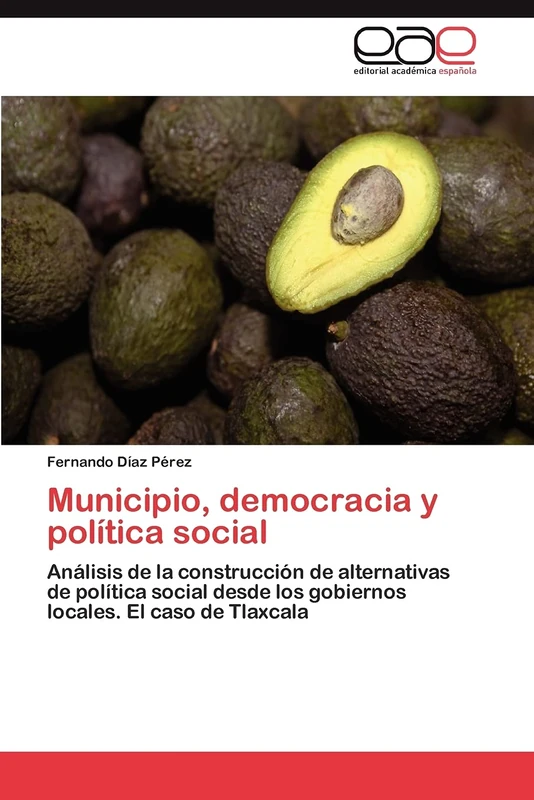 Municipio, democracia y política social: Análisis de la construcción de alternativas de política social desde los gobiernos locales. El caso de Tlaxcala